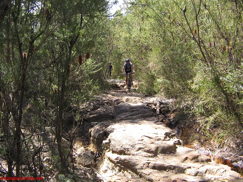 20080921-Mooney 127.jpg